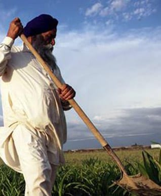 Sikh Farmers 2