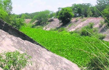 File Photo: Current condition of the SYL canal