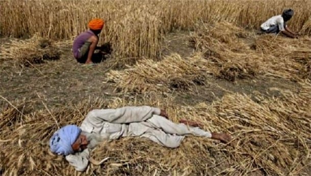 A farmer rests as his family members harvest a wheat crop in a field at Mannana village in Punjab April 22, 2015. Every year, more than 2,000 farmers in Punjab kill themselves to escape the shame of chronic debt. | Photo: Reuters This content was originally published by teleSUR at the following address:   "http://www.telesurtv.net/english/opinion/Censorship-and-Control-20151127-0025.html". If you intend to use it, please cite the source and provide a link to the original article. www.teleSURtv.net/english